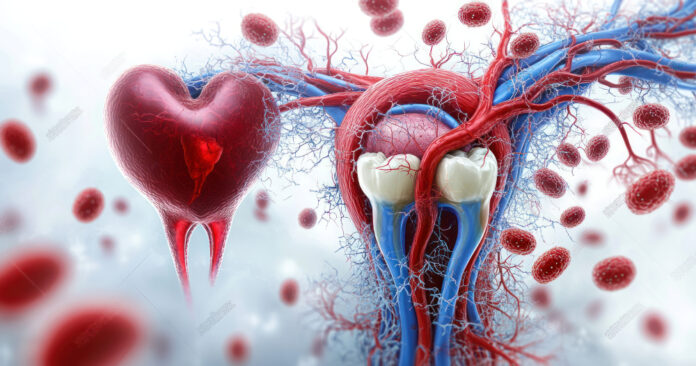 Human Circulatory System and Tooth Infection Interconnection with Bacteria and Inflammation in Dental Health illustratie van bloedvaten, hart en tanden