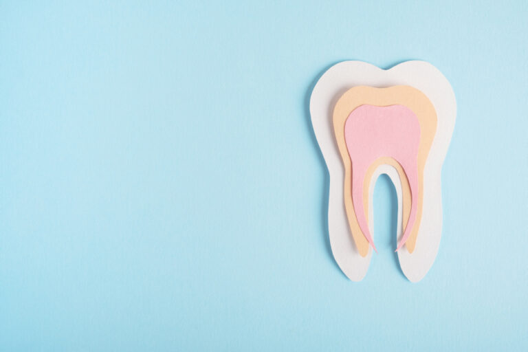 Fluoridevrije gel laat tandglazuur aangroeien Tooth anatomy decorative model on light blue background. Dental health, dentistry concept, implanted teeth. Top view, flat lay, copy space